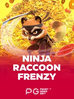 img-Ninja Raccoon Frenzy